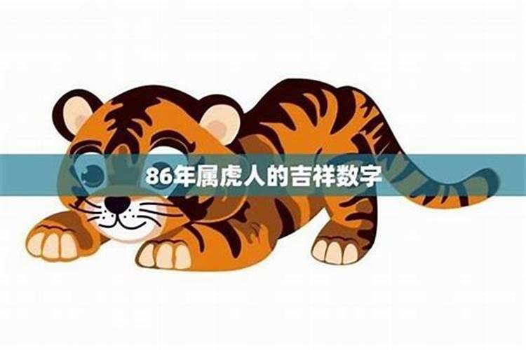 86年属虎的人2025年的运势及运程