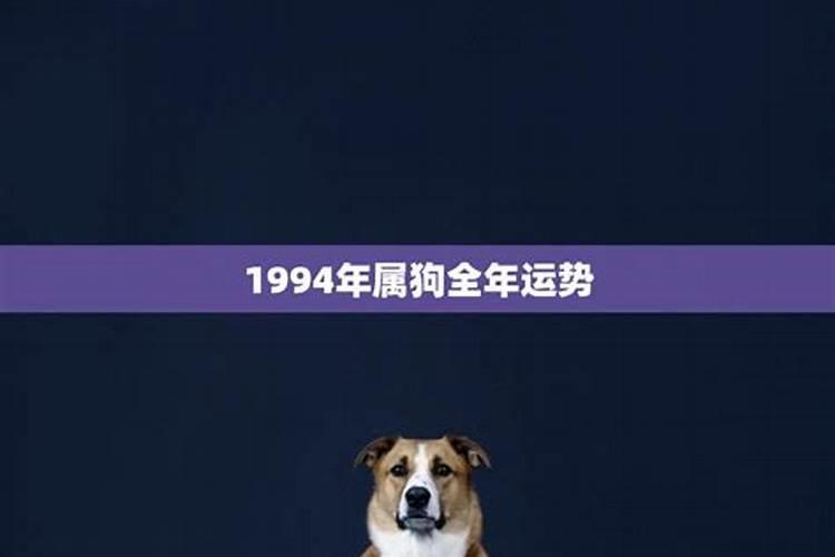 生肖猴2025年运势及运程如何
