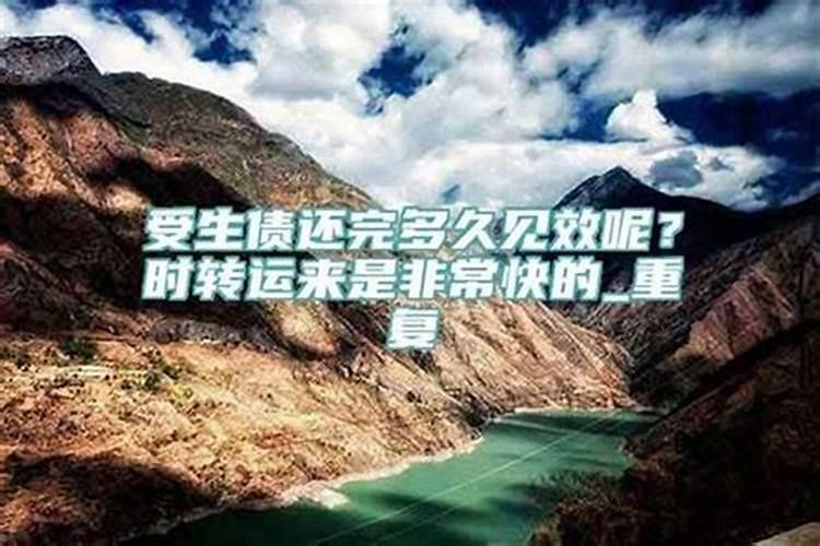 土生金是什么生肖