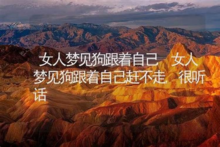 算卦中的八绝是指什么意思