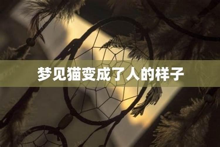 梦见猫变成自己的女儿的预兆