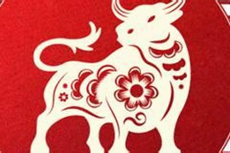 白费口舌打一生肖动物
