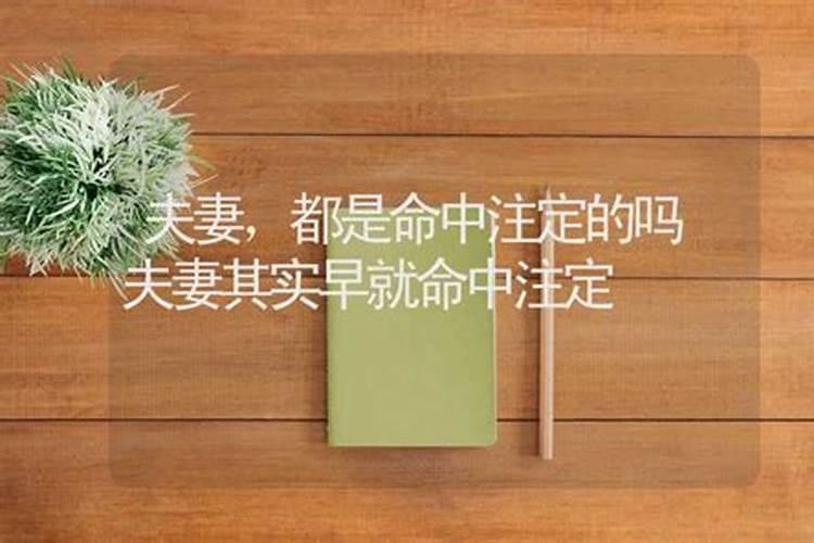 属鸡的男性和什么属相的女性最配