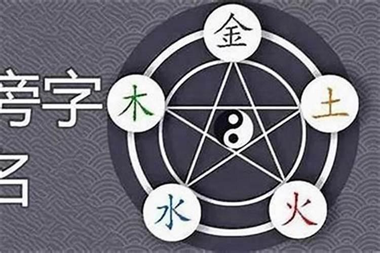 本命属金从事什么行业最旺