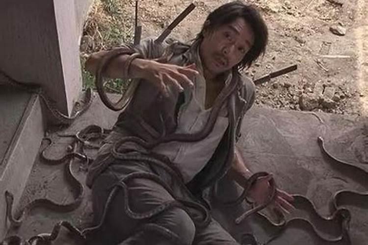 梦到蛇咬我 梦到蛇咬我意思是什么