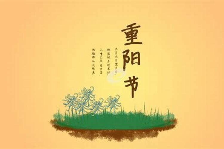 87年属兔何时走大运,87年兔人那一年转好运