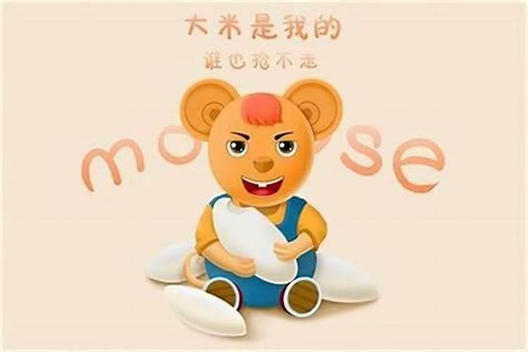 1996年属鼠的2024年运势运程每月运程