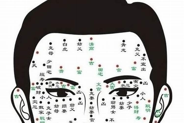金龙三肖最准生肖