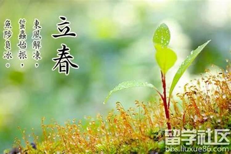 关于立春的由来风俗简短