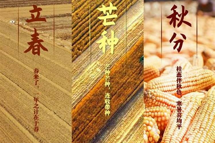 徐州鬼市在哪里几点开始