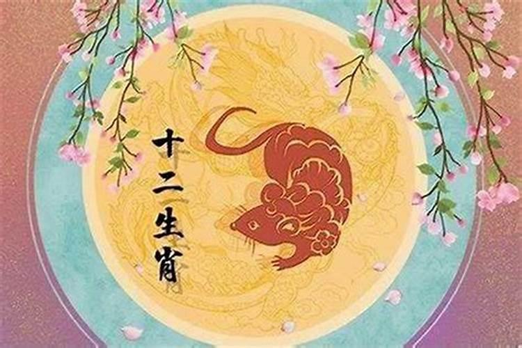 84年鼠2025年属鼠人的全年运势
