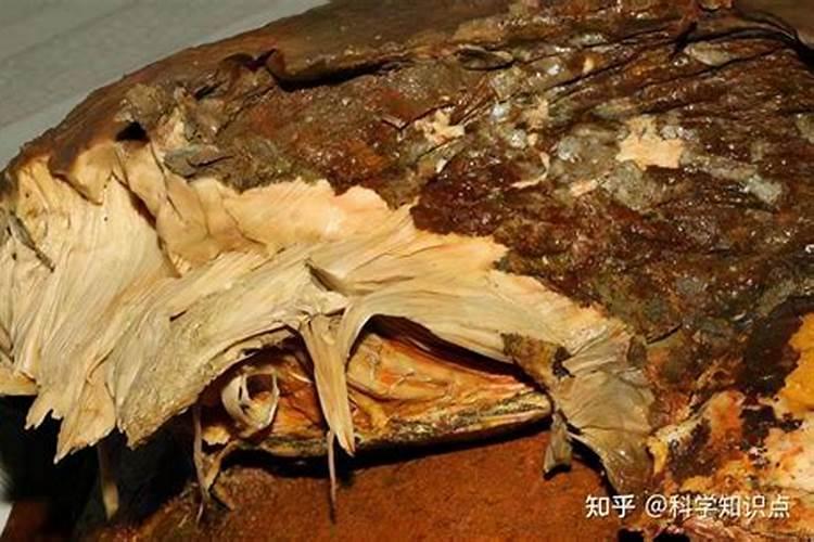 太岁肉吃了会怎么样
