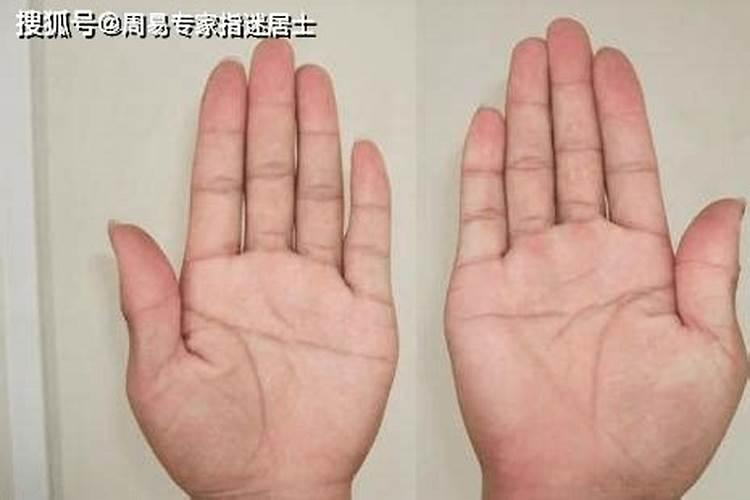 谁知道什么是泰山府君？