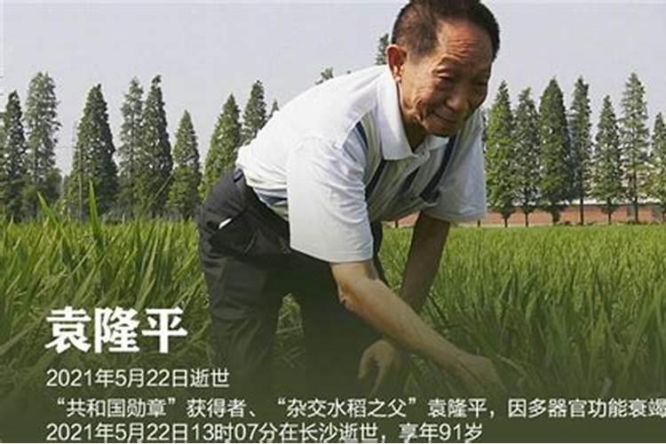 2024属蛇人一辈子的婚姻状况 分析准到哭