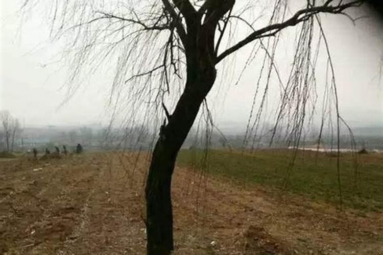 如何积德化解犯太岁