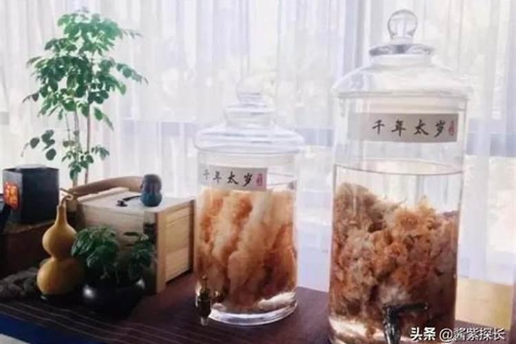 冬至是谁的圣诞日？