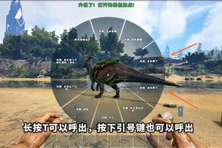 星座都是怎么算的？按农历,还是阳历来算？我农历11月18的生日,是什么星座...