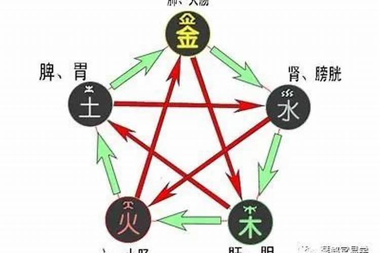 五行缺木属于什么命