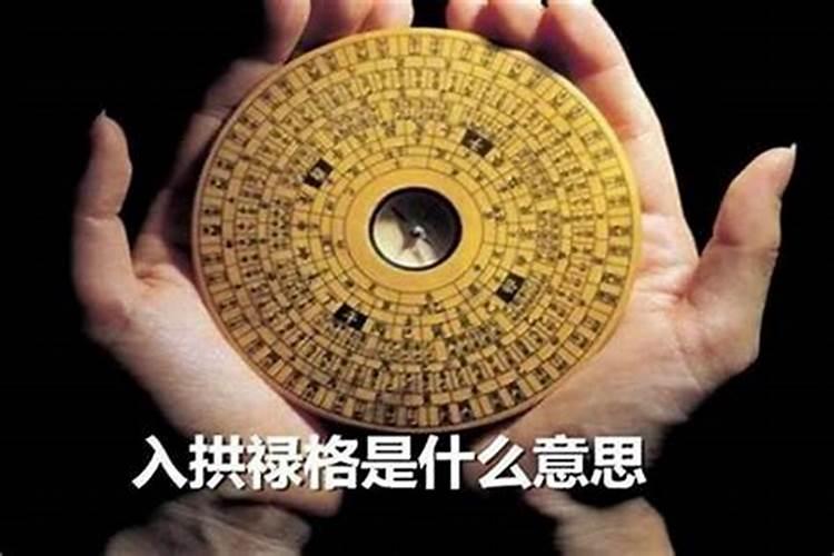 24年属兔的总体运程每月运程详解