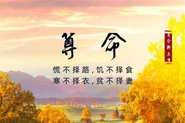 算卦能一天算两次吗算命可以一天两次吗？