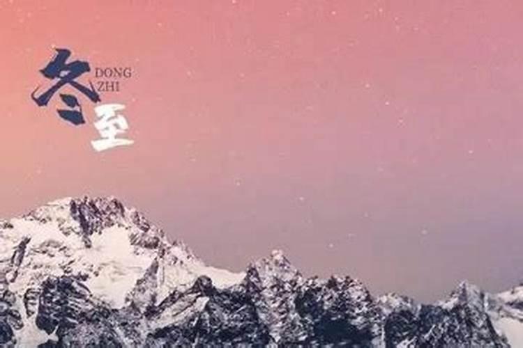 1983年狗是什么命 83年猪40岁后十年大运运程