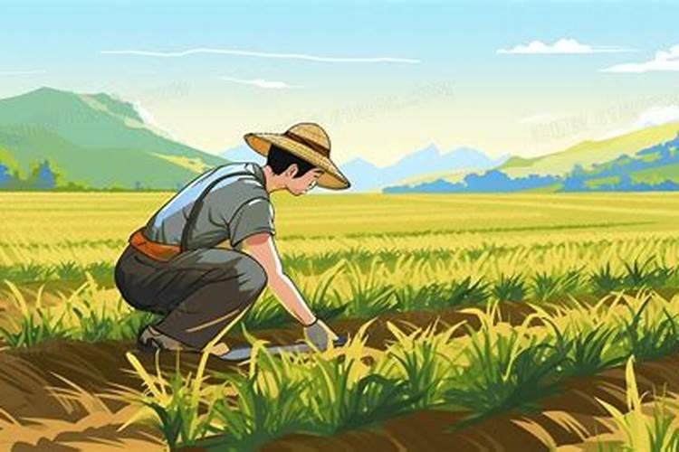清明节什么时候烧纸最好