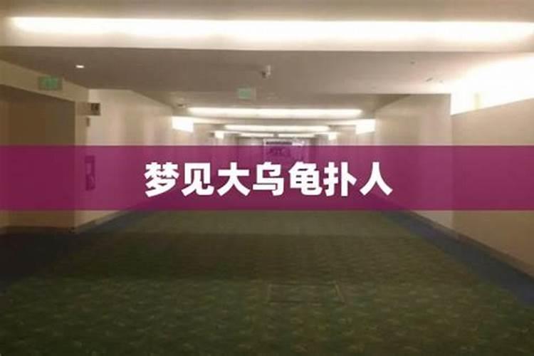 梦见老公和他人打架的预兆