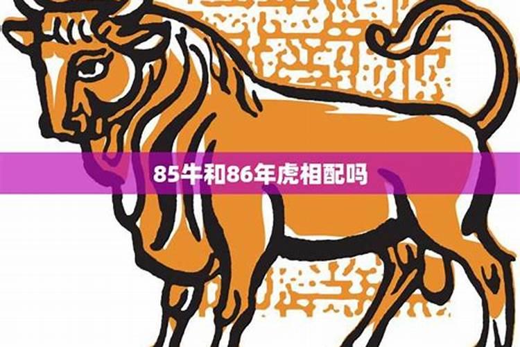 2025年猪1995年运势及运程