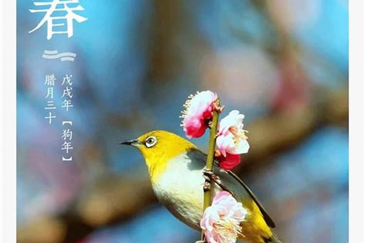 二零一九年二月四日几点立春