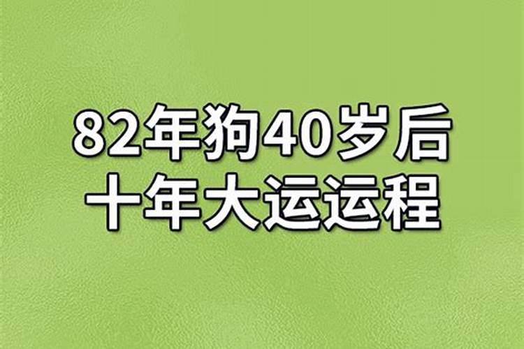 2025属羊犯太岁吗