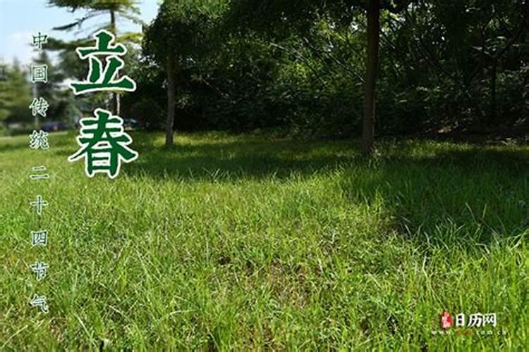 一九七九年一月几号立春
