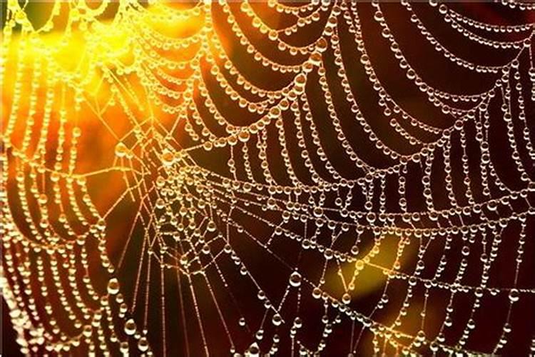 家里三人犯太岁,马年犯太岁如何化解
