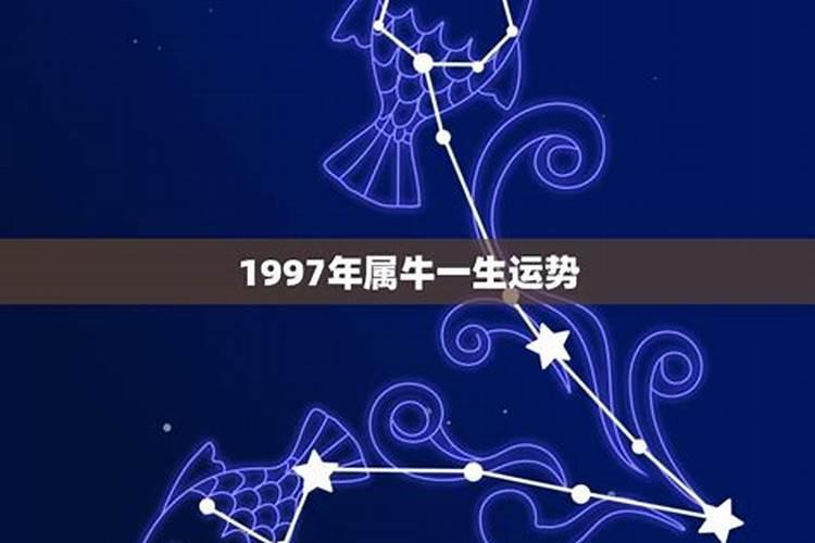 属牛97年一生婚姻状况