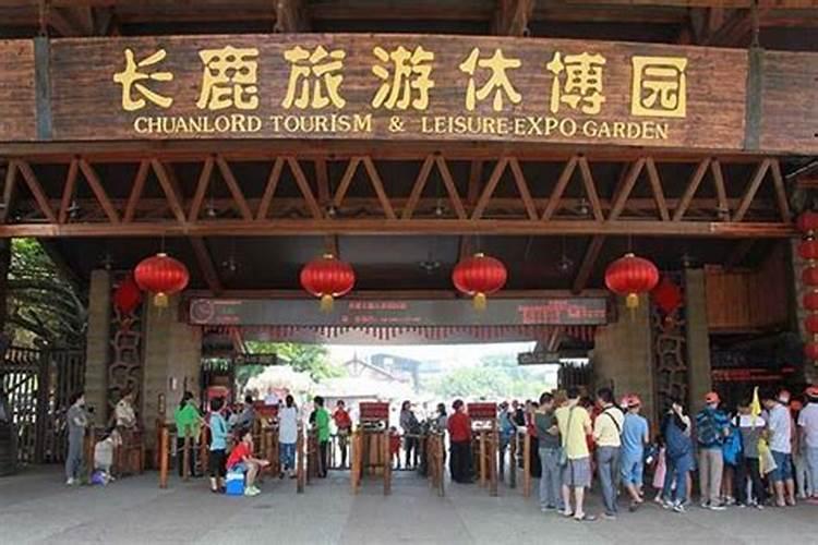2022端午节佛山哪里好玩？