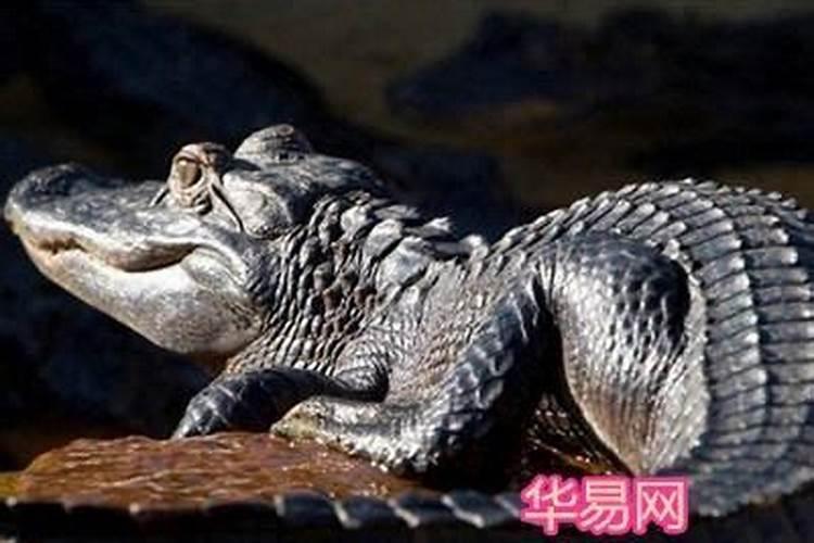 正月十五上什么供