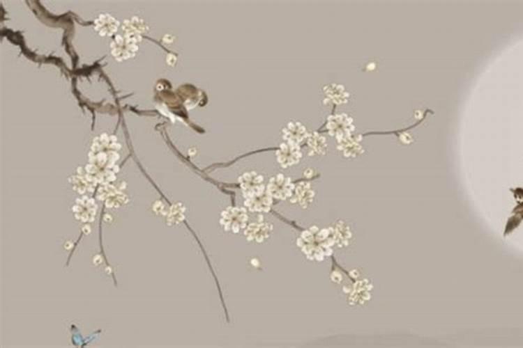 京剧《白蟒台》介绍