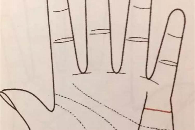合婚看八字还是属相看八字