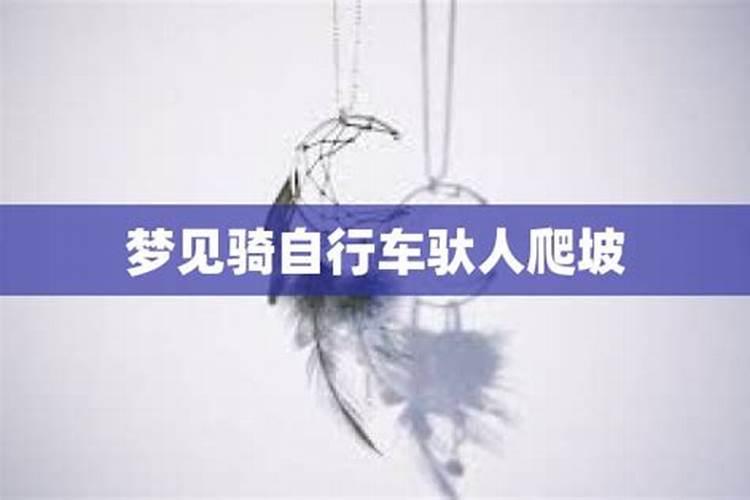 24节气的演讲稿中学