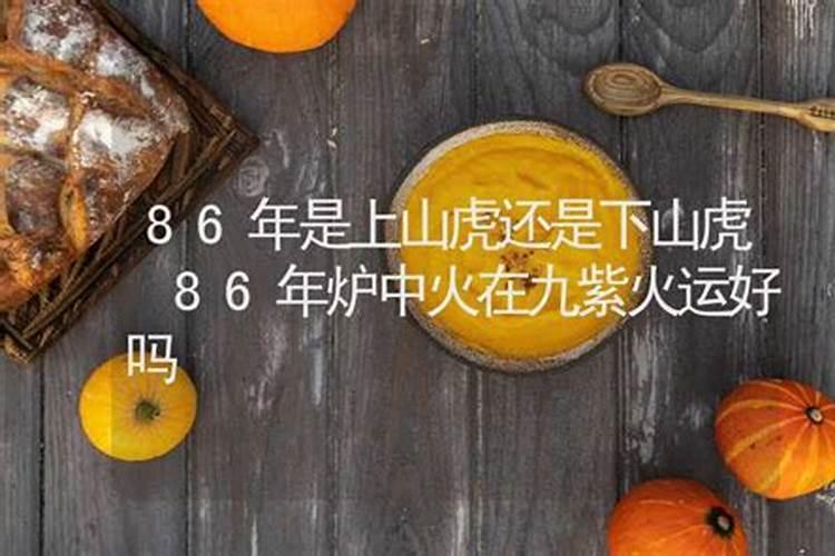 在线算命:1986年是什么命