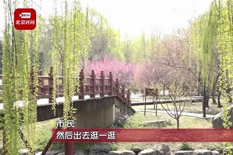 如何提升财运及运气？