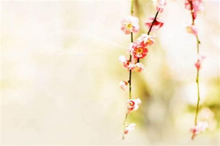 命中有桃花劫能化解吗