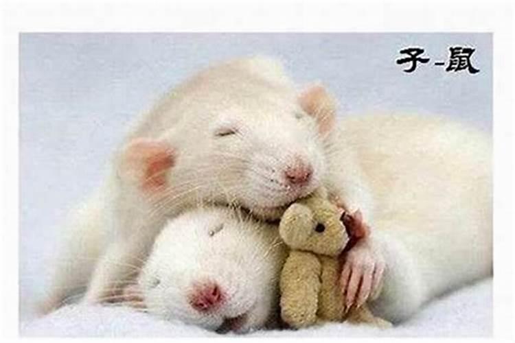 属猴人跟谁一起财运好