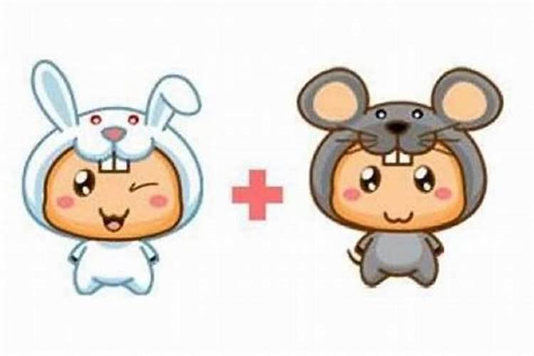 属鼠本命年生孩子好吗属鼠生鼠宝宝会冲吗？