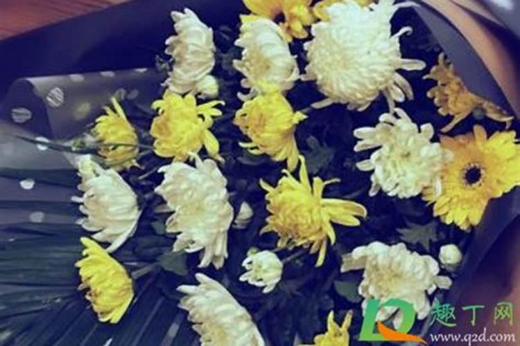 给老人上坟买几朵花(去坟前祭奠老人摆花买什么鲜花)
