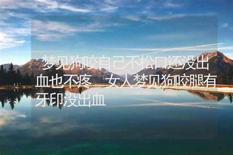 梦见被狗咬了腿的预兆