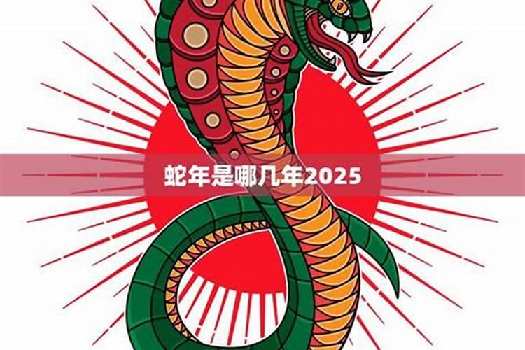 2024属蛇的今年犯什么 蛇今年运势如何