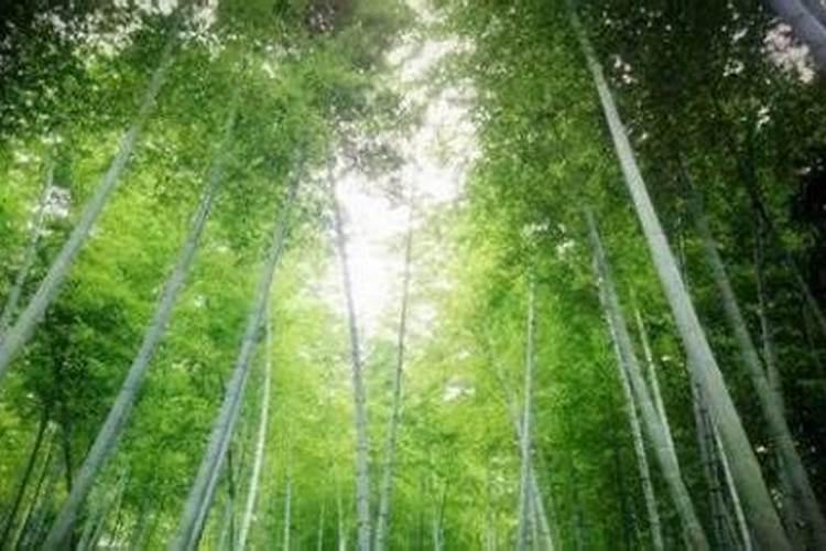 梦见自己掉牙还流血了的预兆