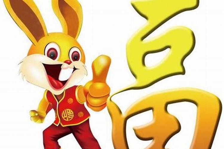 2025属兔人每月运势及运程如何 属兔人2025年运势