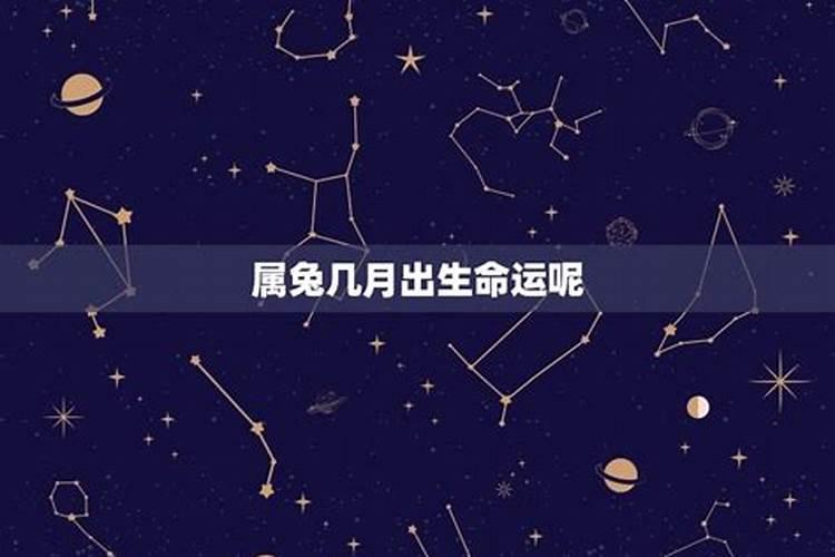 属兔的人几月出生最好,三月四月六月