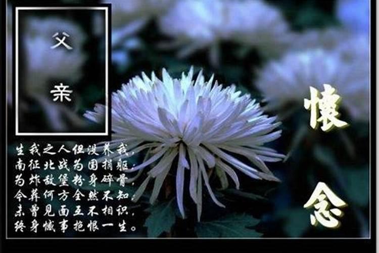 中元节的七律诗